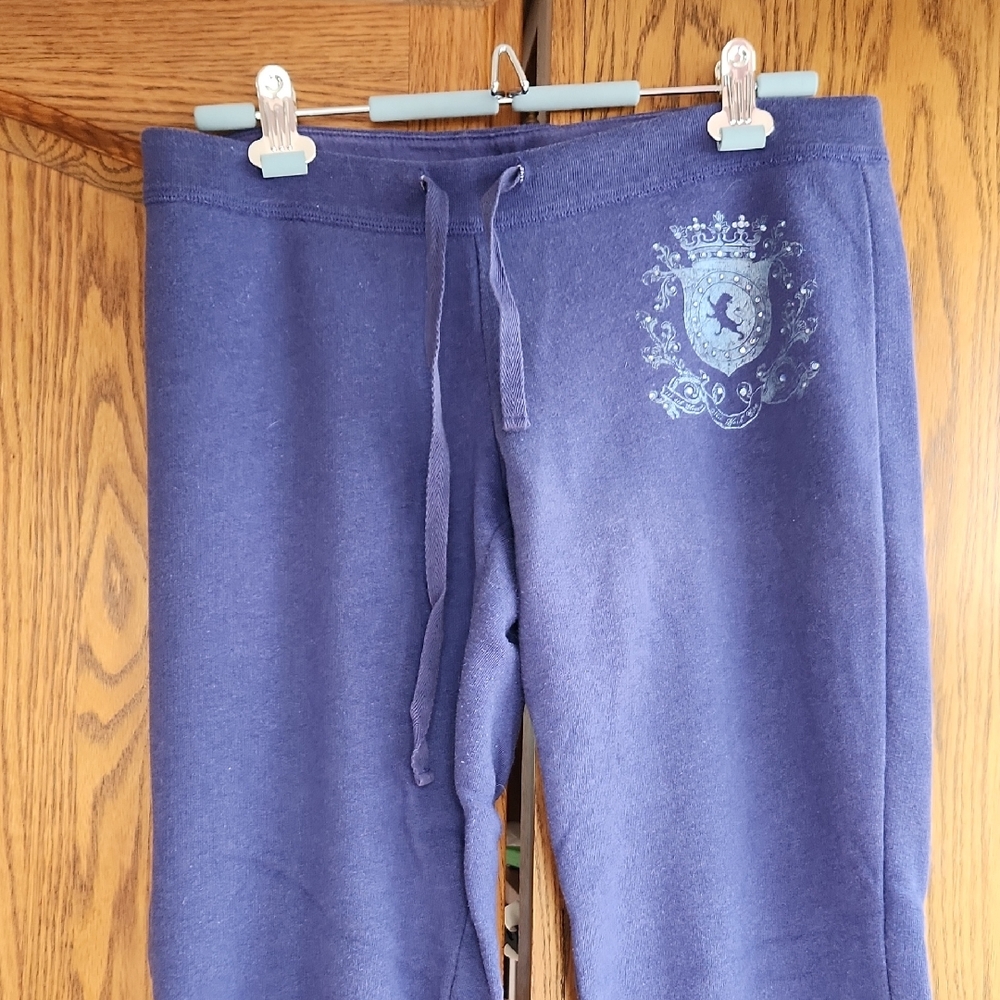 Express Vintage Purple Sweatpants